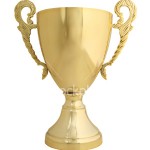istockphoto_3067965-trophy-on-white-with-path