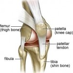 knee
