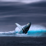 A Severance Negotiation Success Story: The Inside Scoop On How One Man Negotiated His Freedom