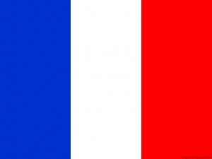 french_flag Flat Tax Argument
