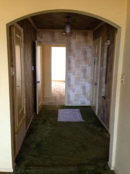 Who doesn't love shaggy green carpet and wall paper?