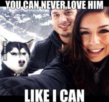 loyalty