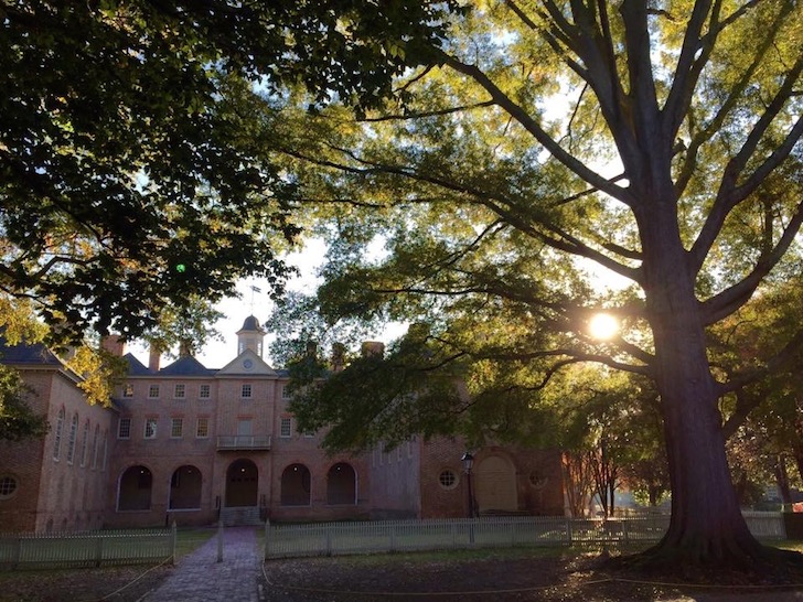 The College Of William & Mary