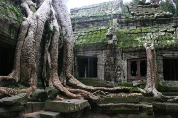 Angkor Wat, Cambodia by Linda Russell
