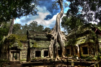 Ta prohm, Cambodia where the old trees take over the temples