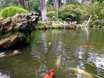 Zen Garden Sanctuary