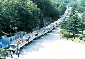 Trucks of cattle DMZ