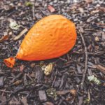 Stop Frugality From Leading To Lifestyle Deflation