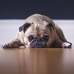 The Percentage Of People With No Wealth Outside Their Home Is Sad