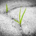 Opportunity Zones: The Tax Efficient Investment Of The Future