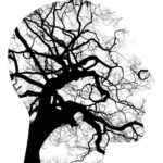 Mental Illness Deserves A Sick Day Just Like A Physical Illness