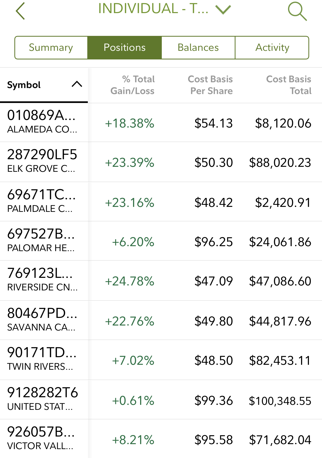 Municipal bond performance 2019
