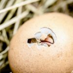 The Hardest Mortgage Refinance Ever