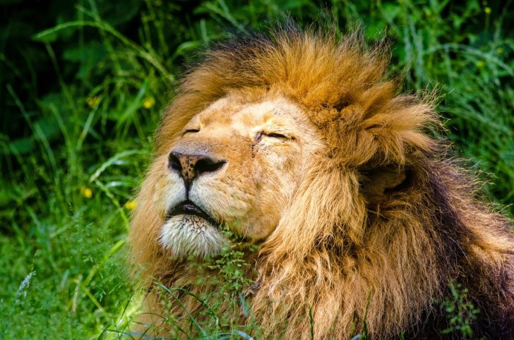 life lessons from courage to be disliked