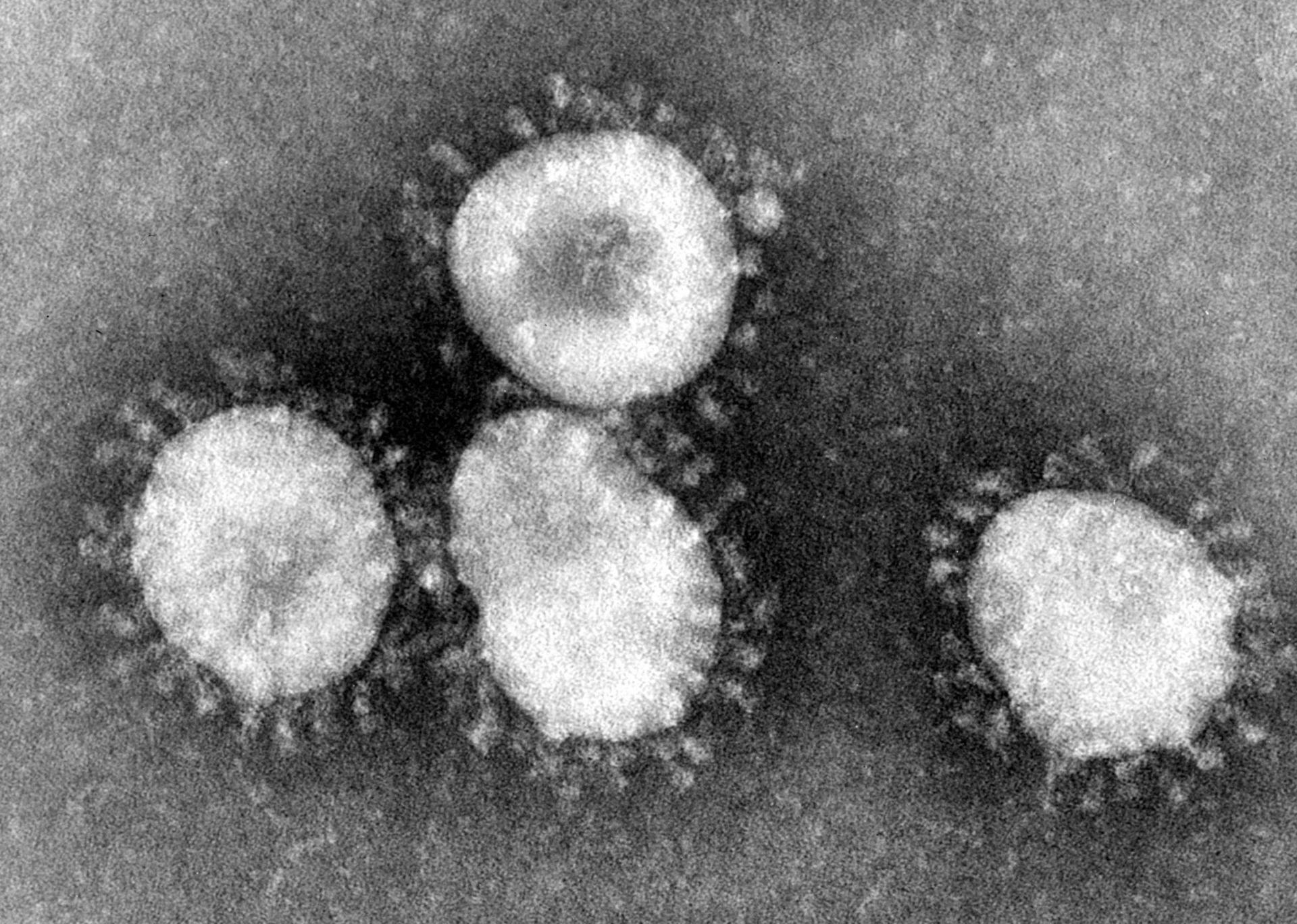 How Does The Stock Market Perform During A Coronavirus Pandemic?