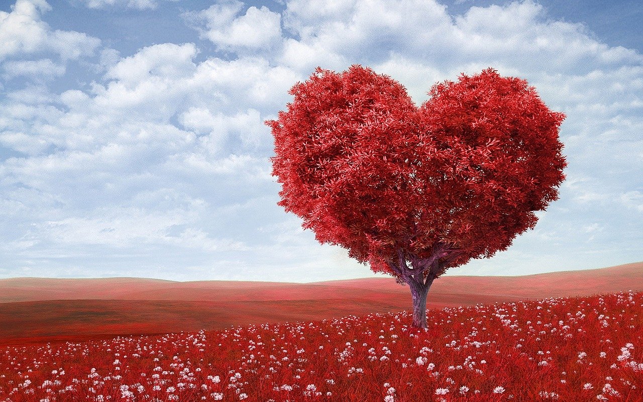 Why I Failed At Early Retirement: A Love Story