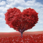 Why I Failed At Early Retirement: A Love Story