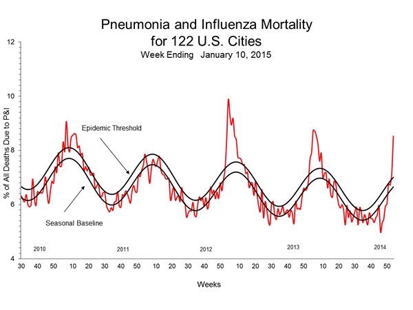 Flu and pneumonia mortality cycle