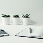 A Money Gratitude Journal: The Best Way To Feel Better In A Bear Market