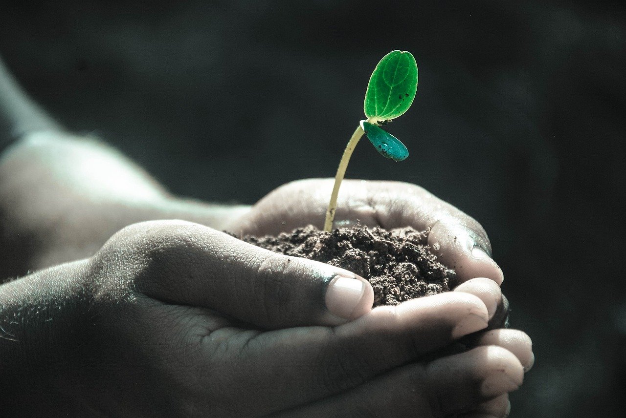 Different Types Of Life Insurance Explained