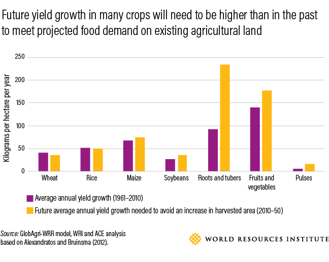 Future farmland crop yield
