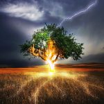 Why Real Estate Is Less Risky Than Stocks