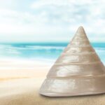 What Is A SPAC - A Shell Company