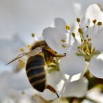 The Best Time To Work May Be During Or After A Pandemic