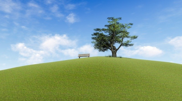 The Ideal Environment For Real Estate Investors Is Here