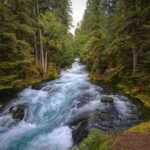 Why Cash Flow Is More Important Than Net Worth: Focus On What's Real