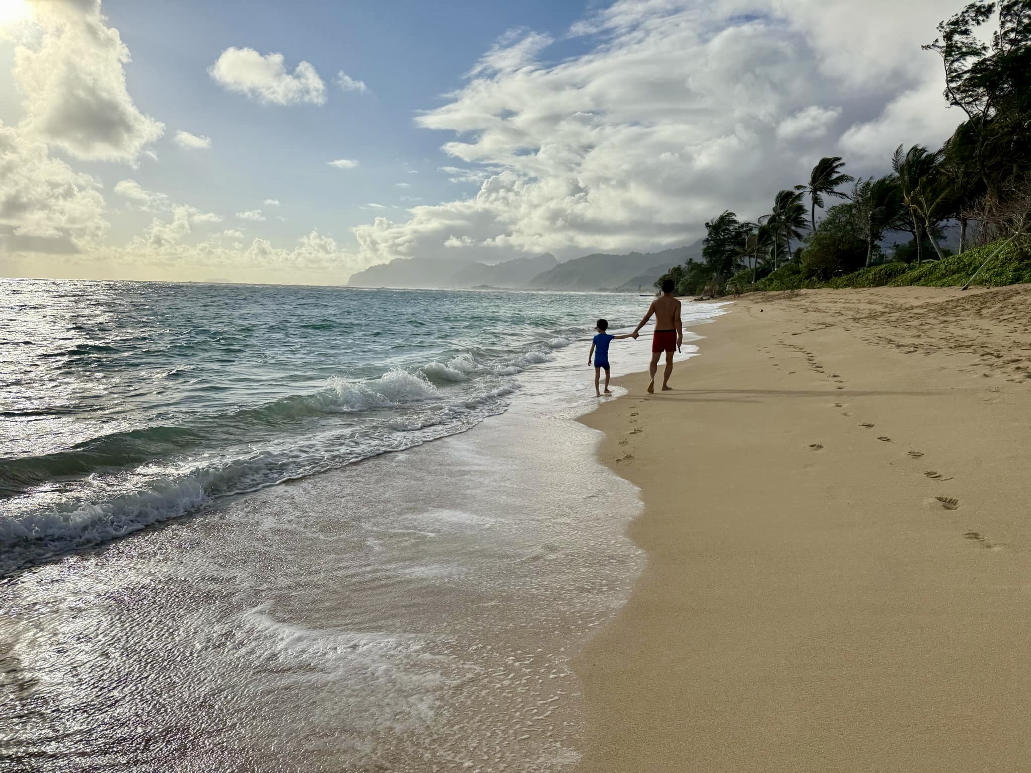 Want to move to Hawaii in my 50s, and leave the excitement of a big city