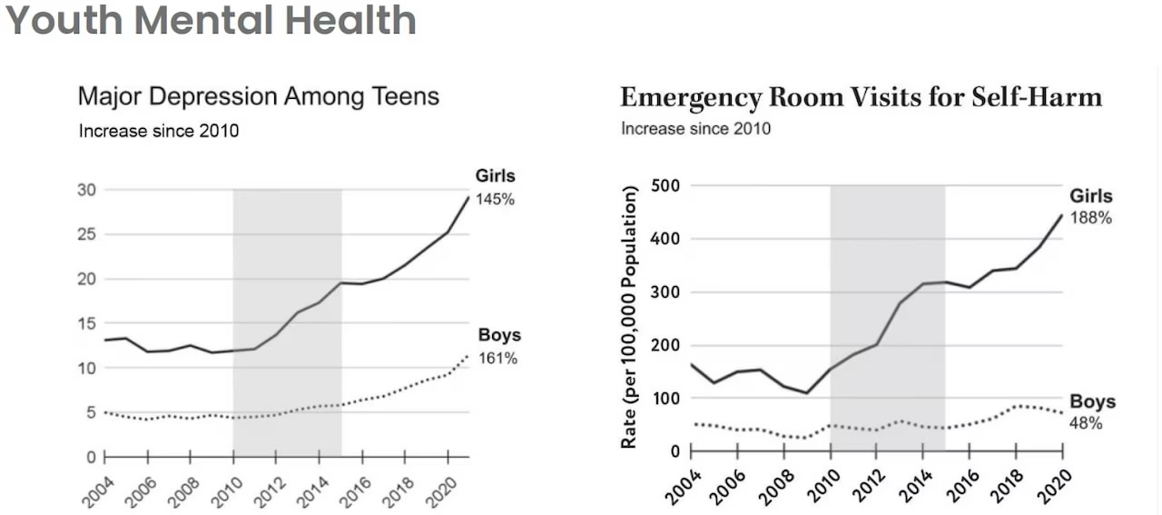 Youth mental health and the rise of major depressing among teens and emergency room visits for self-harm - Trying Your Best When You Have No Shot Of Succeeding