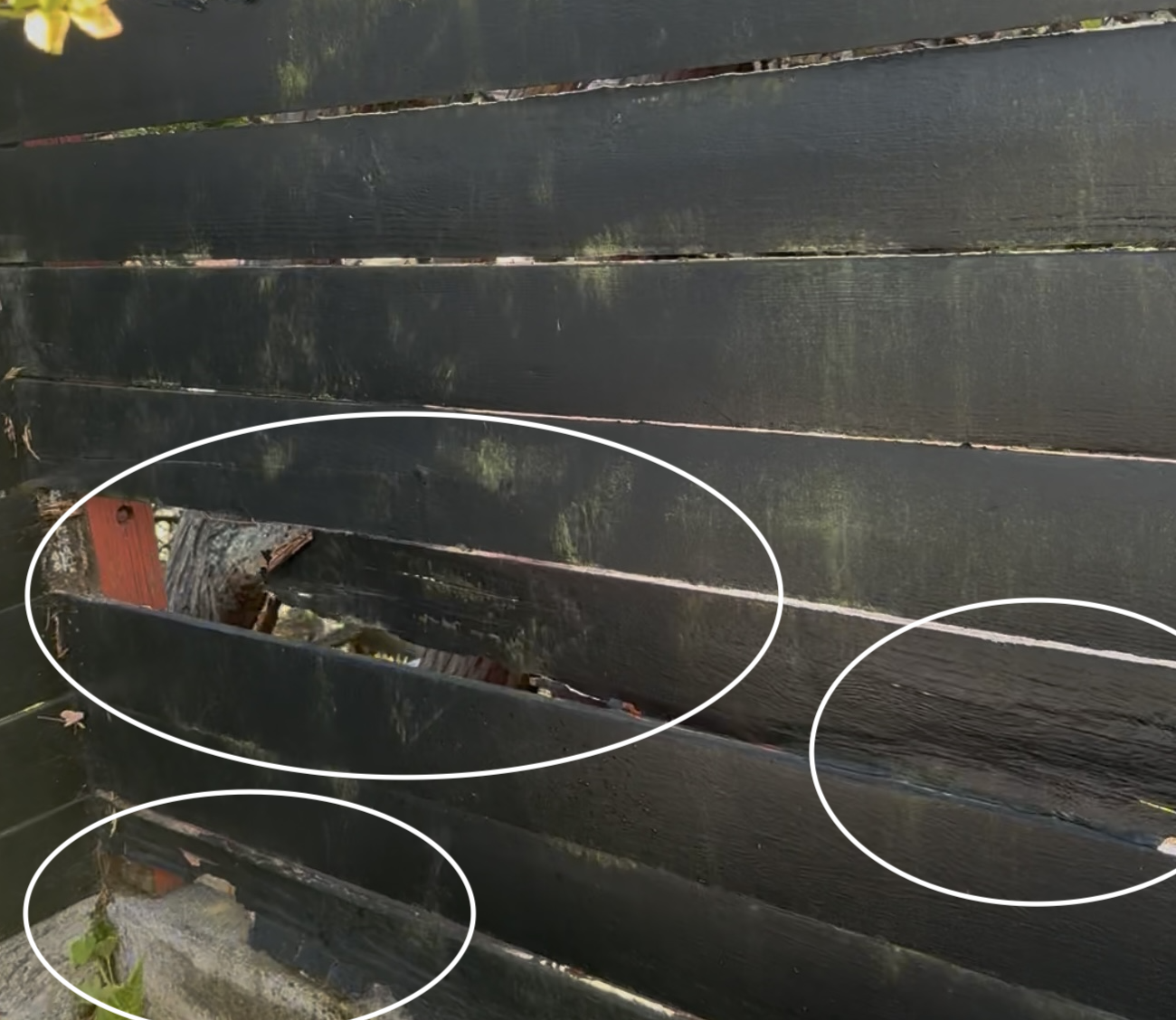 The Rotten Fence Boards - A home inspection may have found them